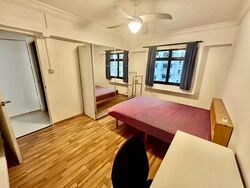 Blk 250A Compassvale Haven (Sengkang), HDB Executive #618684881